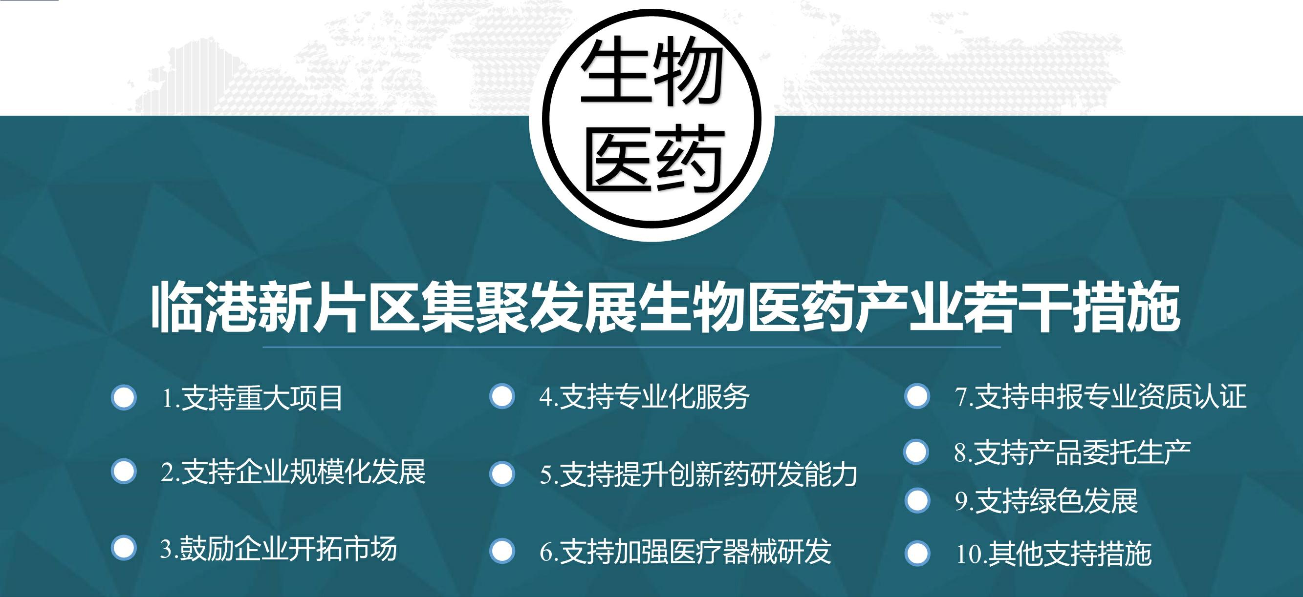 臨港奉賢注冊公司